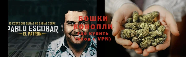 амф Богданович