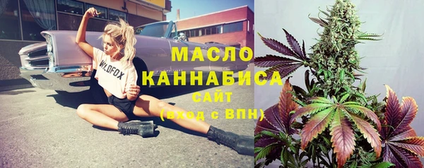 тгк Богородицк