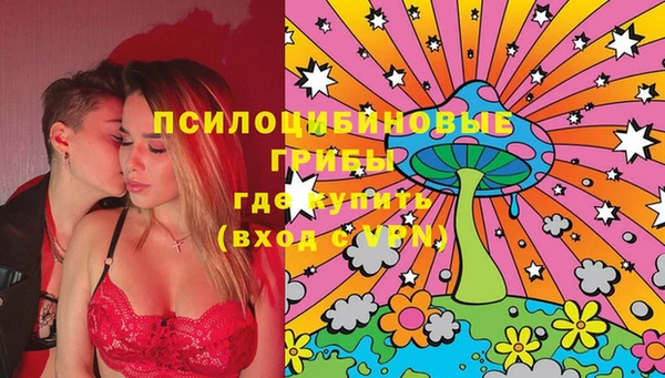 амф Богданович