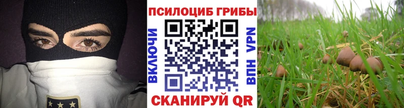 Псилоцибиновые грибы GOLDEN TEACHER Козельск